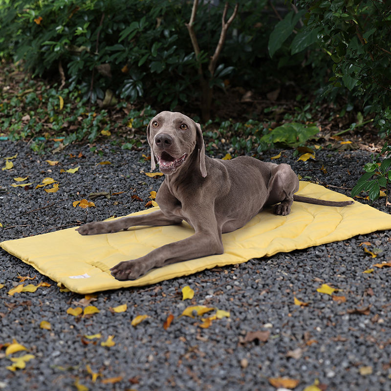 Portable Pet Mat Foldable Pet  - đánh giá và giá Outdoor Camping Mat Waterproof