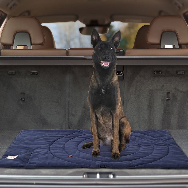 Portable Pet Mat Foldable Pet  - đánh giá và giá Outdoor Camping Mat Waterproof