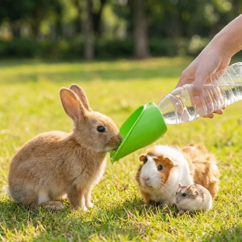 Dog cat Travel Water Bottle  P - đánh giá và giá Collapsible Water Bottle